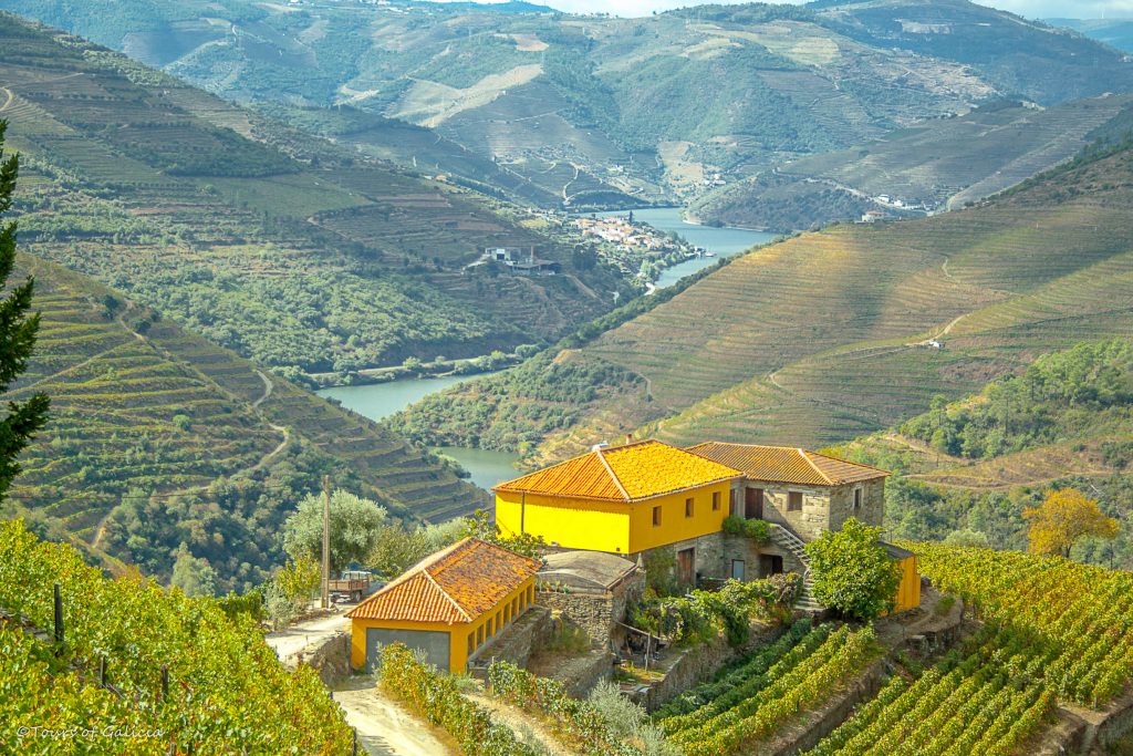 Douro Tal Wein Ausflug