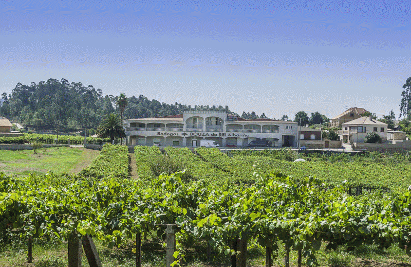 Wine routes Galicia